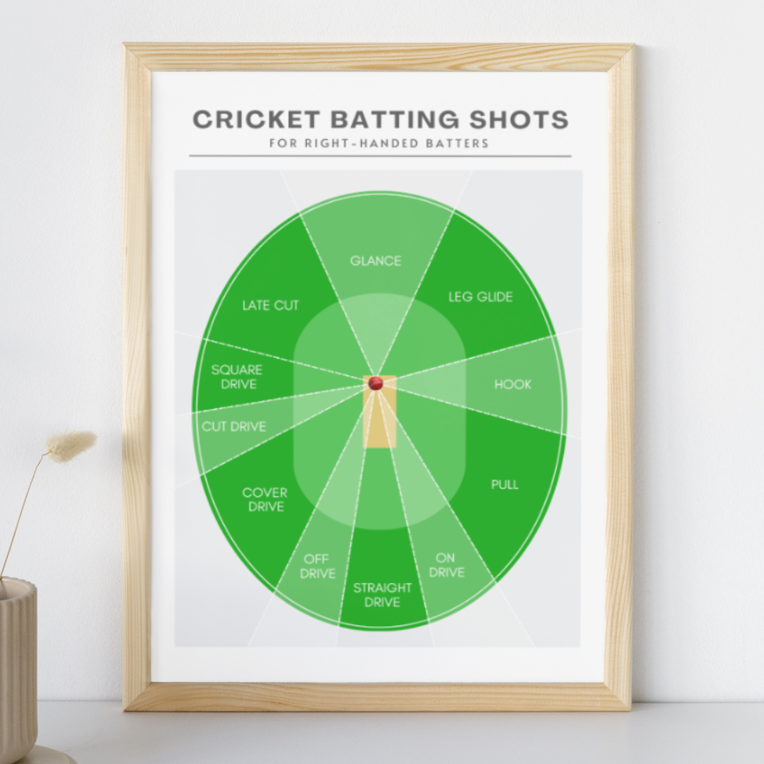 Cricket Batting Shots Print