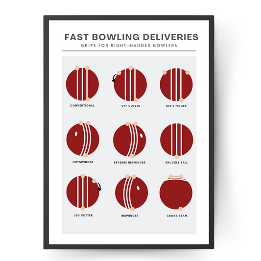 Fast Bowling Deliveries Grips Guide Wall Print