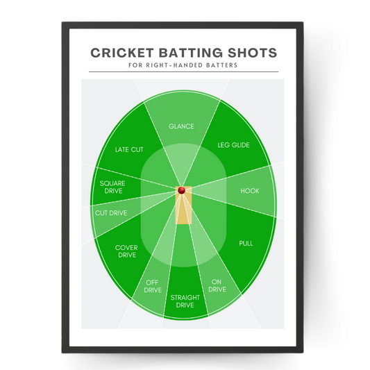 Cricket Batting Shots Print
