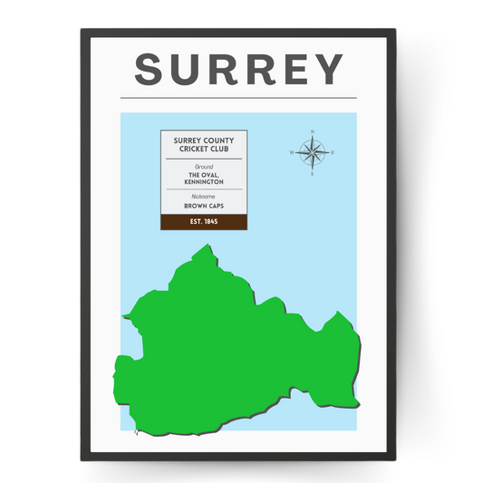 Surrey County Cricket Poster