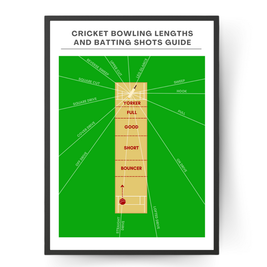 Bowling Lengths and Batting Shots Print