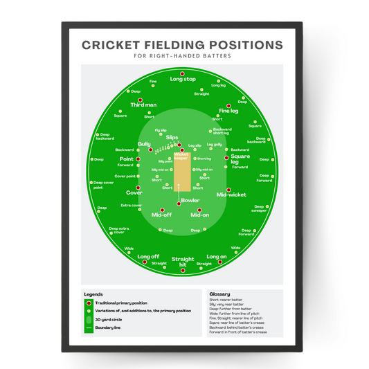 Cricket Fielding Positions Wall Print