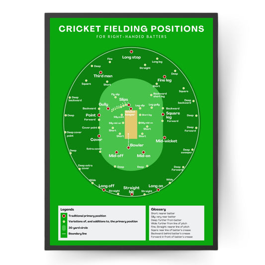 Cricket Fielding Positions Poster With Green Background
