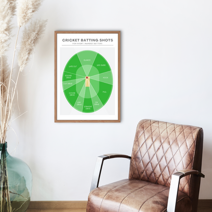 Cricket Batting Shots Print