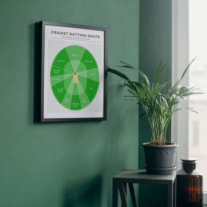 Cricket Batting Shots Print