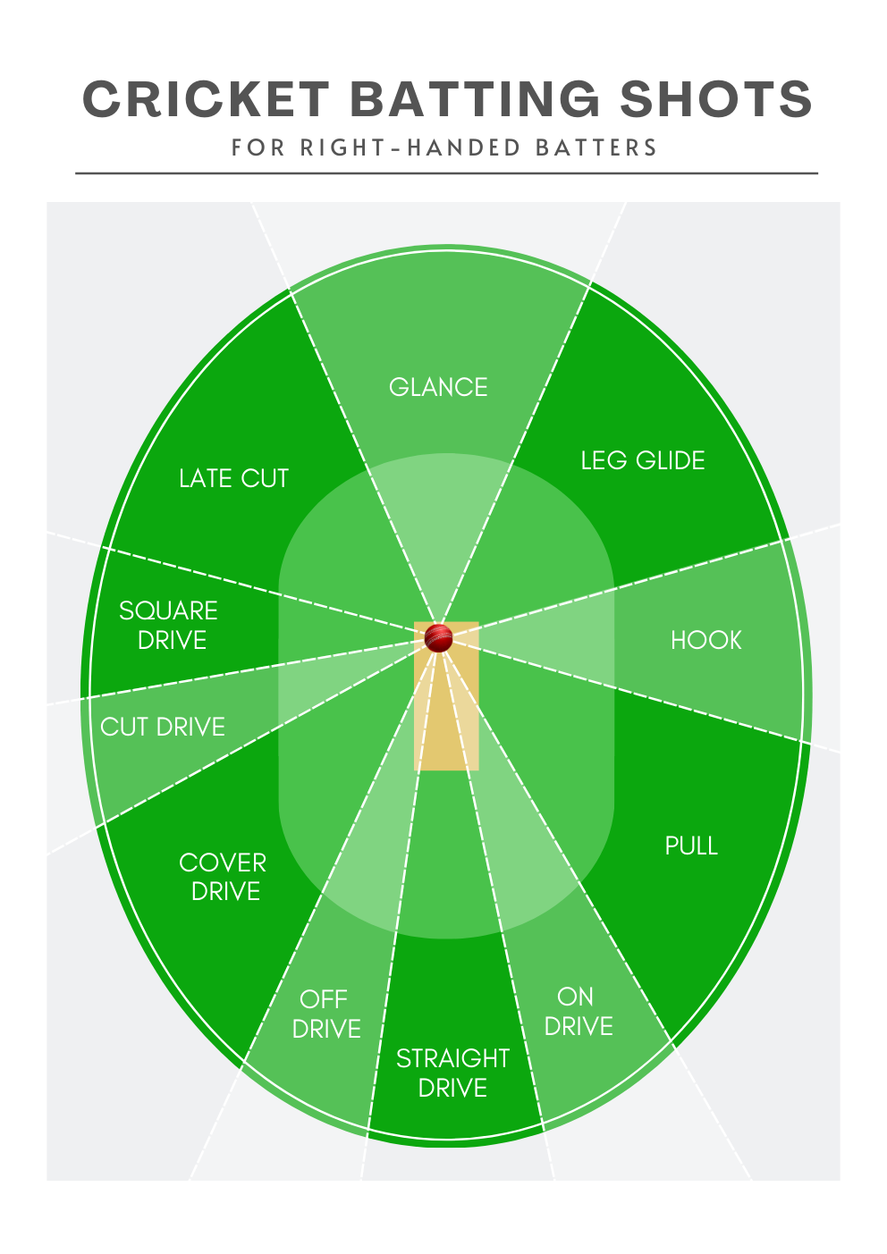 Cricket Batting Shots Print